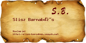 Slisz Barnabás névjegykártya