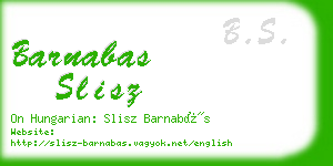 barnabas slisz business card